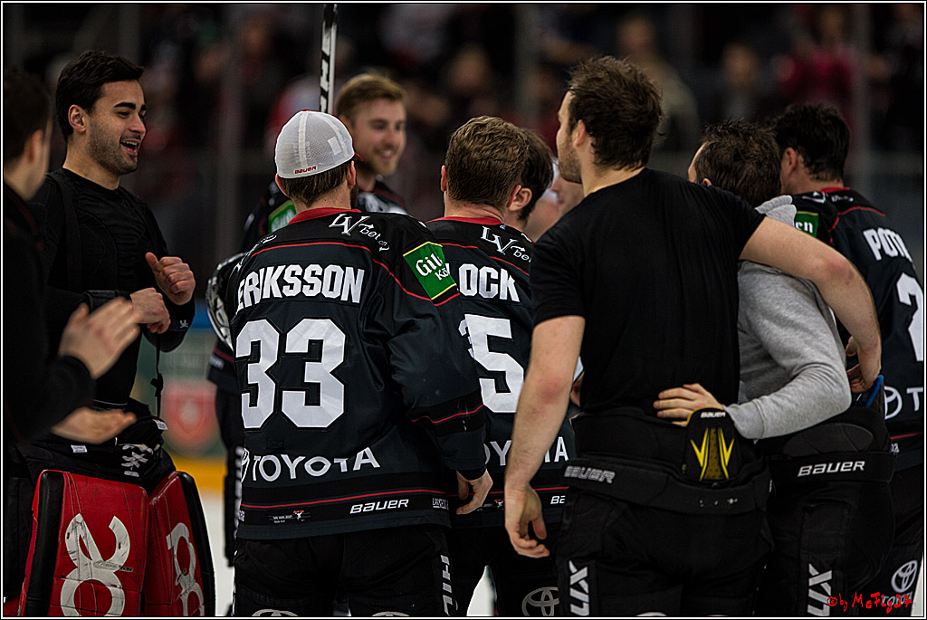 DEL, Koelner Haie - Augsburger Panther, 13.01.2017